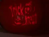 trick or treat 024.webp