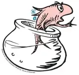 catinhat-fish.webp