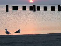 sunrise2 (Small).webp