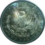 Morgan 002.webp