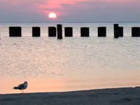 sunrise7777 (Small).webp