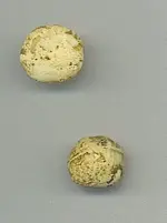 Musket balls.webp