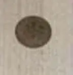 coin.webp