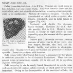 .jpgGold ID  secondary ref..webp