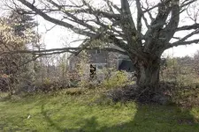 Picture 052.webp