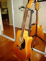 Takamine.webp