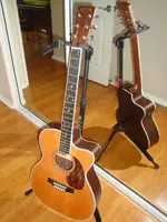 Martin.webp