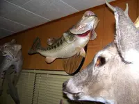 100_2630.webp