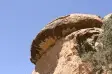 avatar_33756.webp