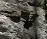 n.webp