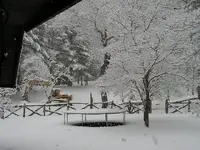 004.webp