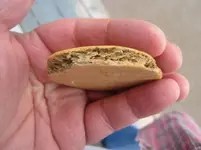 IMG_0894.webp