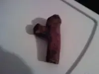bone.webp