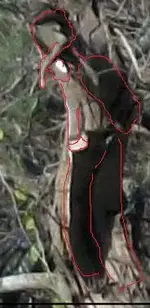 ghost_4ddfd.webp