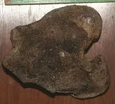 kneebone2.webp