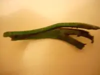 DSCN0228.webp