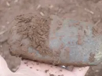 stone4.webp