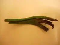DSCN0229.webp