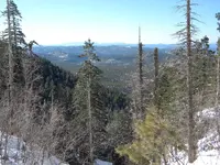 DSCN0195.webp
