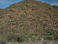 DSCN0223.webp