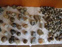 DSCN0928.webp