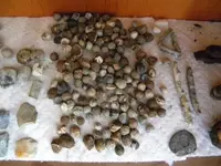 DSCN0929.webp