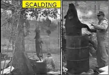scalding.webp