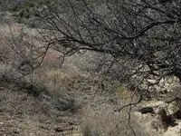 DSCN0210.webp