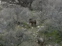 DSCN0226.webp