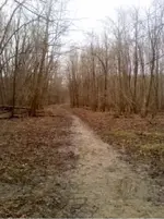 Dardenne Creek 1.webp