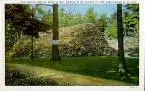 418dc415a684fdfa[1].webp