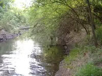 SSCA0019000.webp