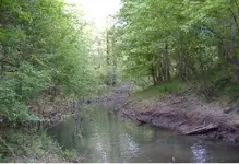 SSCA0020000.webp