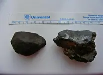 DSCF8121.webp