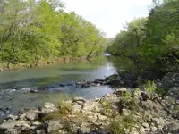 river pic\'s 007.webp