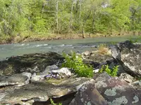 river pic\'s 005.webp