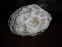 DSCF0213.webp
