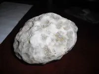 DSCF0205.webp