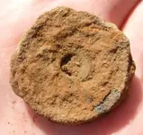 cwfinds2.webp