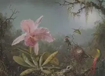 MJHeade.webp