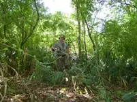 SSCA0103.webp
