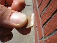 DSCF2083.webp
