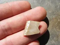 DSCF2078.webp