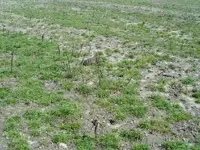 100_1580.webp