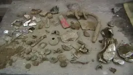 finds at exposed site 020.webp