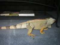 014.webp