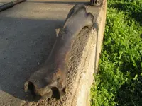 bison cut3.webp