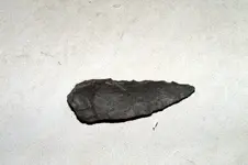 2010.03.24-DSCF4139.webp