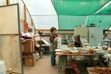 SSCA0024000.webp