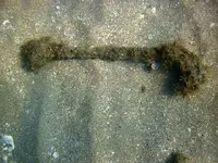 JB04.webp